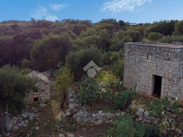 Terreno in vendita a Puglia, Bari
