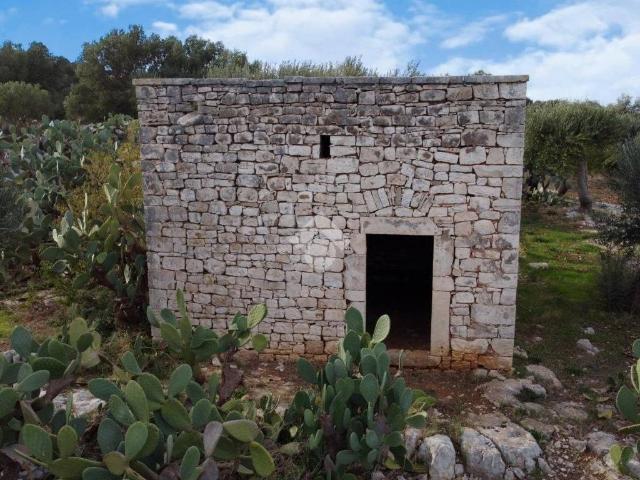 Terreno in vendita a Puglia, Bari