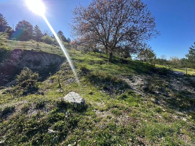 Terreno in vendita a Polino, Umbria