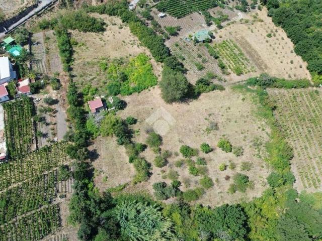Terreno in vendita a Pollena Trocchia, Campania