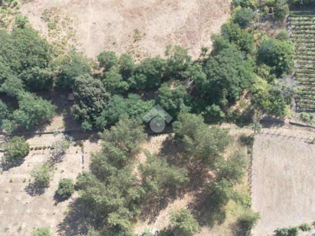 Terreno in vendita a Pollena Trocchia, Campania