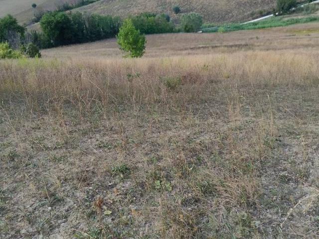 Terreno in vendita a Marche, Macerata