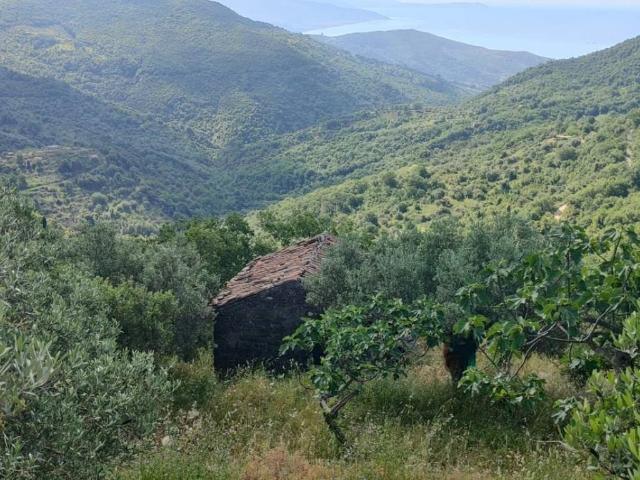 Terreno in vendita a Pollica, Campania