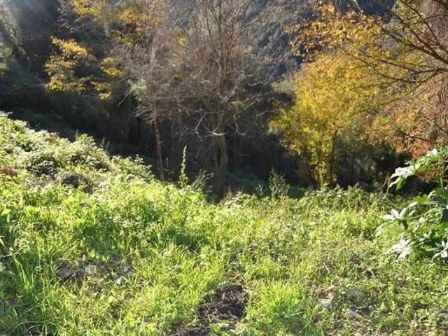 Terreno in vendita a San Mauro Cilento, Campania