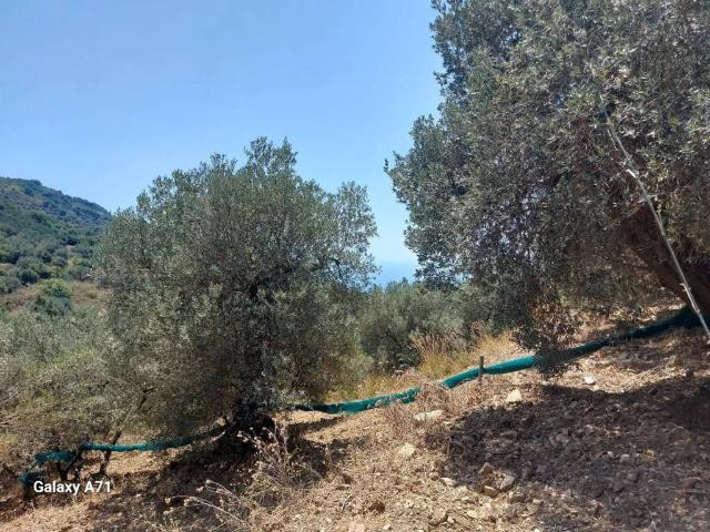 Terreno in vendita a Galdo, Pollica