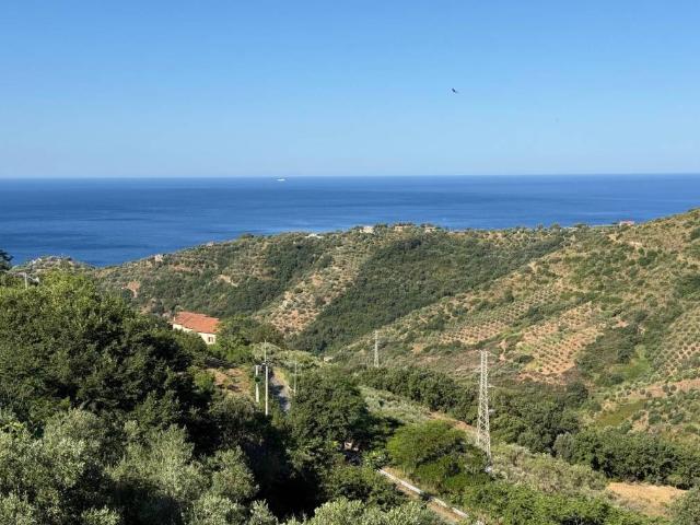 Terreno in vendita a Pollica, Campania