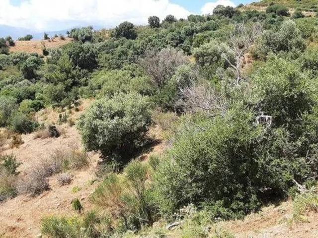 Terreno in vendita a Residence Rais Gerbi, Pollina