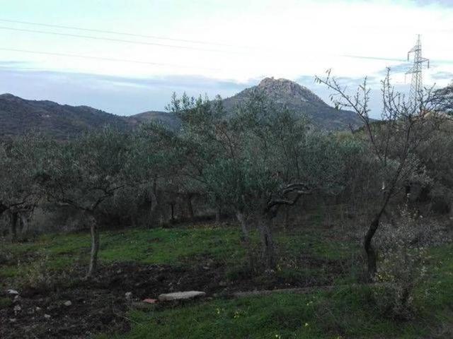 Terreno in vendita a Pollina, Sicilia