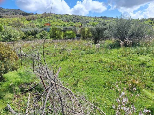 Terreno in vendita a Pollina, Sicilia
