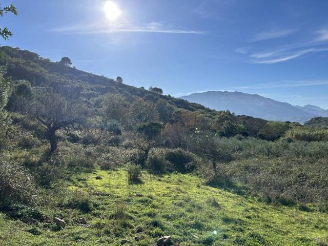 Terreno in vendita a Pollina, Palermo