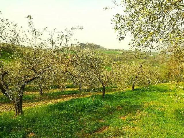Terreno in vendita a Polpenazze, Lombardia