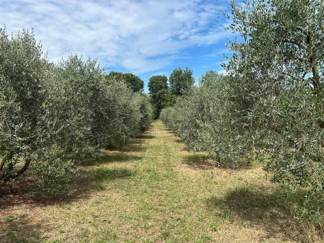 Terreno in vendita a Polpenazze, Lombardia