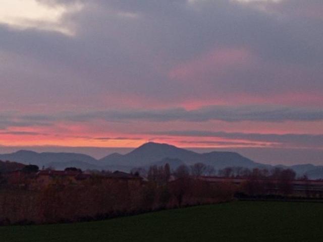 Terreno in vendita a Polverara, Veneto