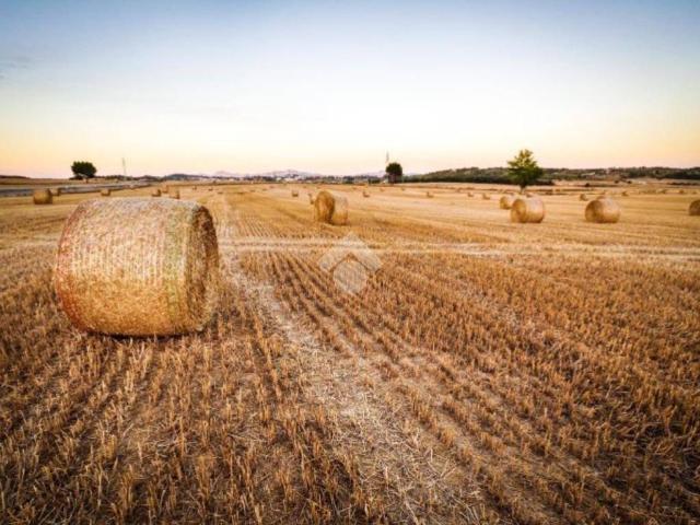 Terreno in vendita a Polverara, Veneto