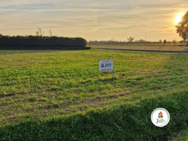 Terreno in vendita a Polverara, Veneto