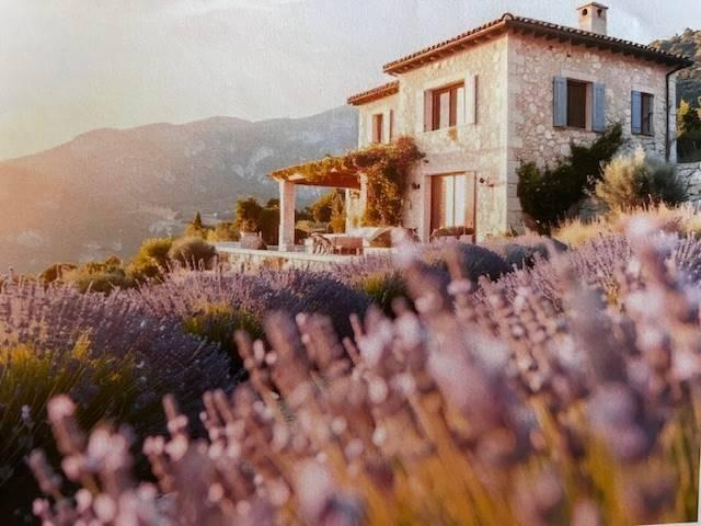 Terreno in vendita a Marche, Ancona