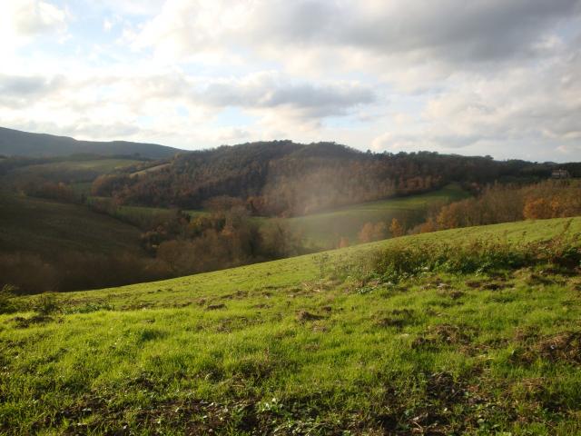 Terreno in vendita a Larderello, Toscana