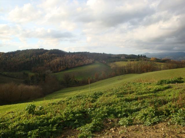 Terreno in vendita a Larderello, Toscana