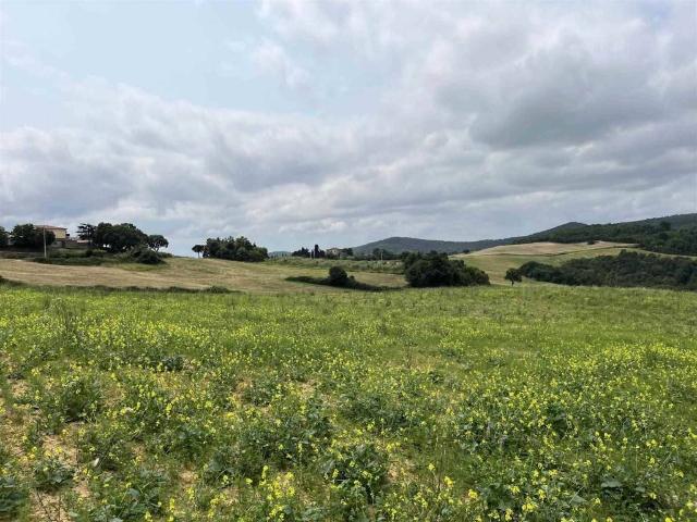Terreno in vendita a Fabbriche, Pomarance
