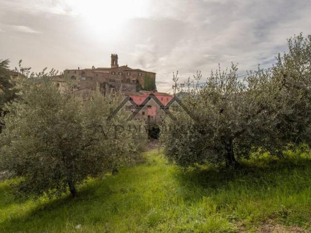 Terreno in vendita a Montecerboli, Larderello