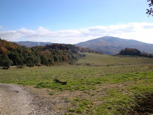 Terreno in vendita a Larderello, Toscana