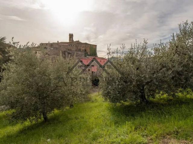 Terreno in vendita a Montecerboli, Larderello