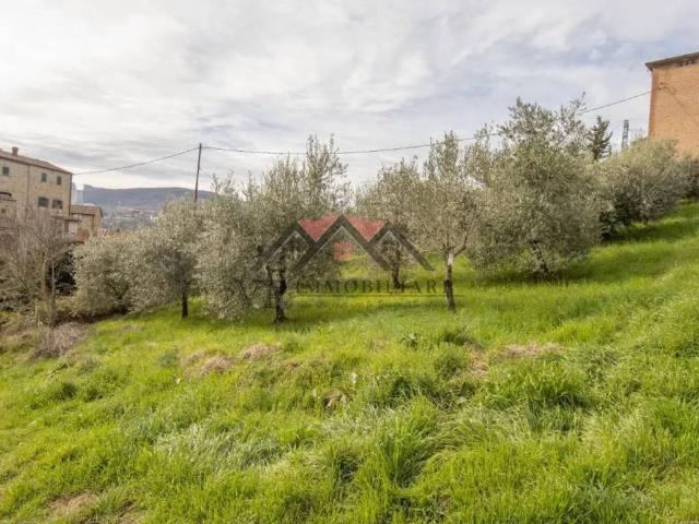 Terreno in vendita a Montecerboli, Larderello
