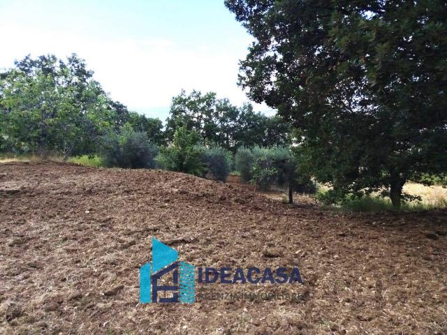 Terreno in vendita a Pomarico, Basilicata