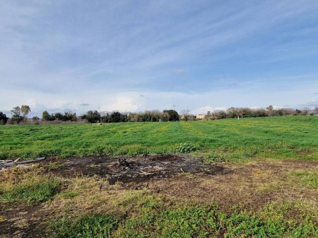 Terreno in vendita a Roma Capitale, Lazio