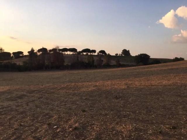 Terreno in vendita a Santa Procula, Pomezia