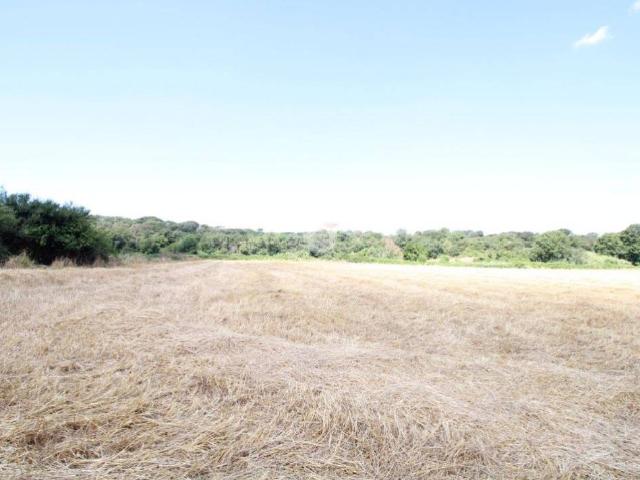Terreno in vendita a Roma Capitale, Lazio
