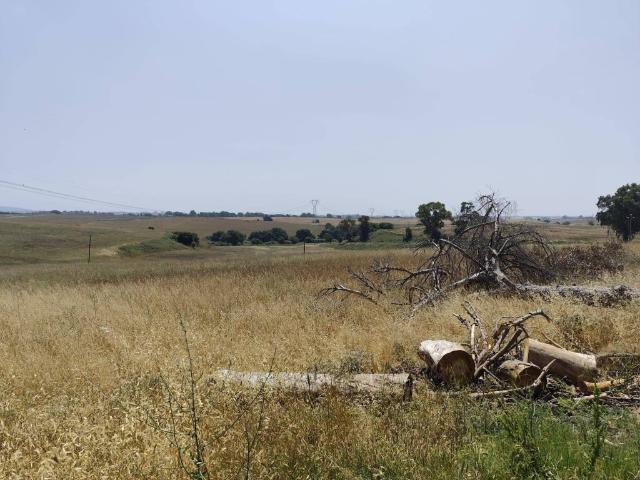 Terreno in vendita a Roma Capitale, Lazio