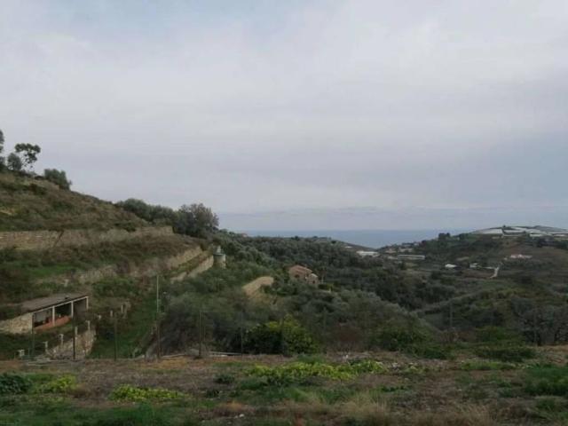 Terreno in vendita a Pompeiana, Liguria