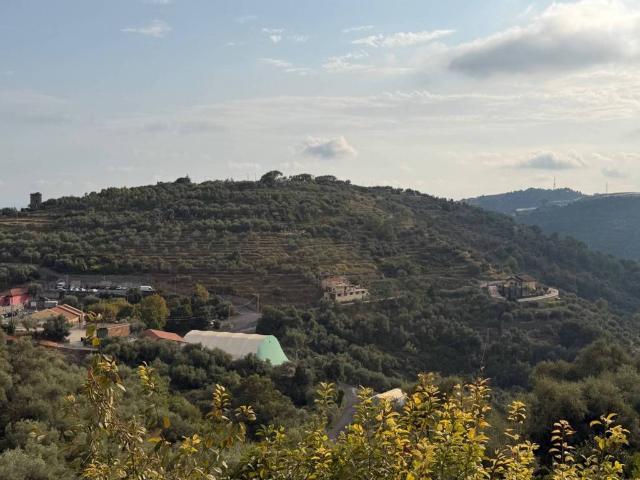 Terreno in vendita a Pompeiana, Provincia di Imperia