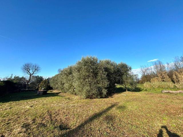 Terreno in vendita a Ponsacco, Toscana