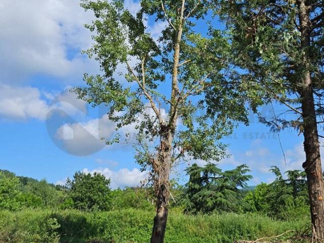 Terreno in vendita a Unione di Comuni Valdarno e Valdisieve, Pontassieve