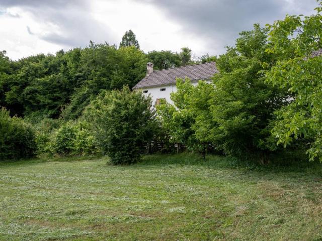 Terreno in vendita a Ponte nelle Alpi, Pises