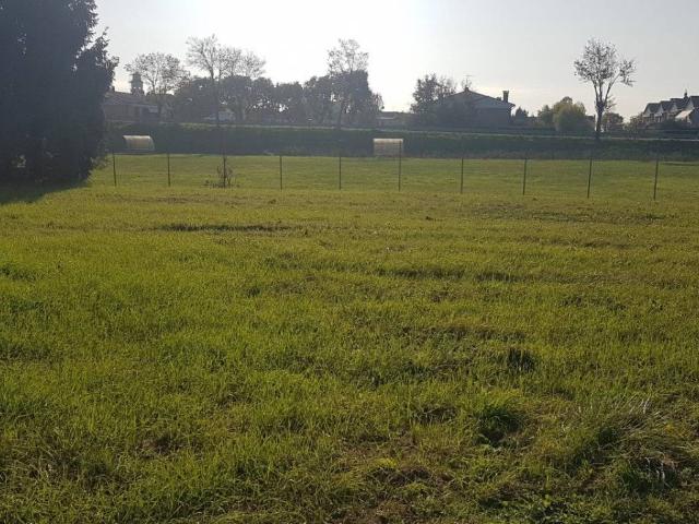 Terreno in vendita a Ponte San Nicolò, Veneto