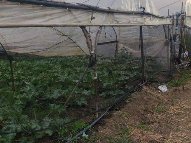 Terreno in vendita a Pontecagnano, Campania