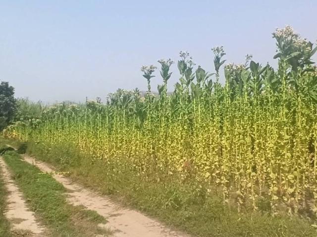 Terreno in vendita a Salerno, Campania