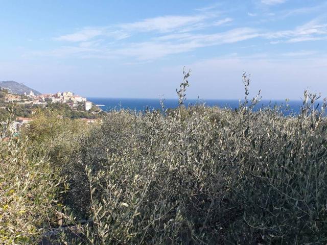 Terreno in vendita a Imperia, Liguria