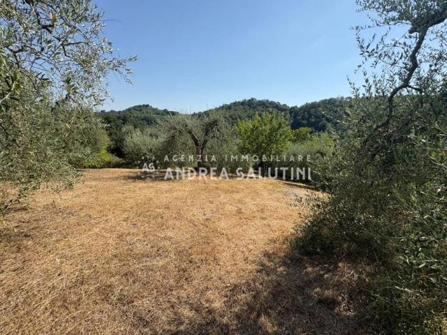 Terreno in vendita a Pontedera, Toscana