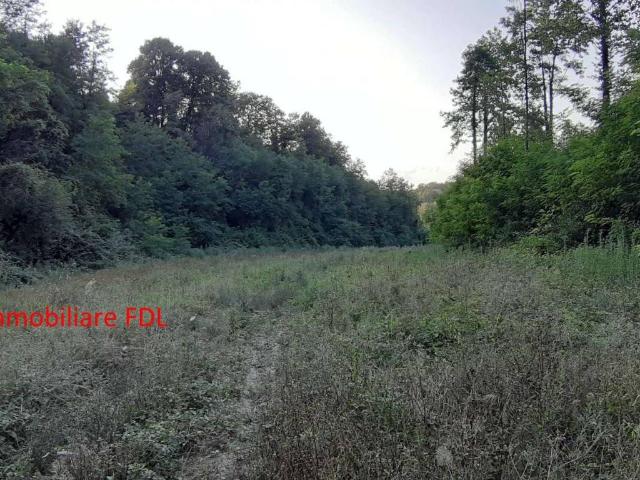 Terreno in vendita a Pontedera, Toscana