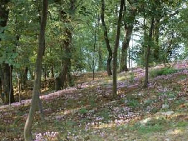 Terreno in vendita a Costa Garatti, Ponteranica