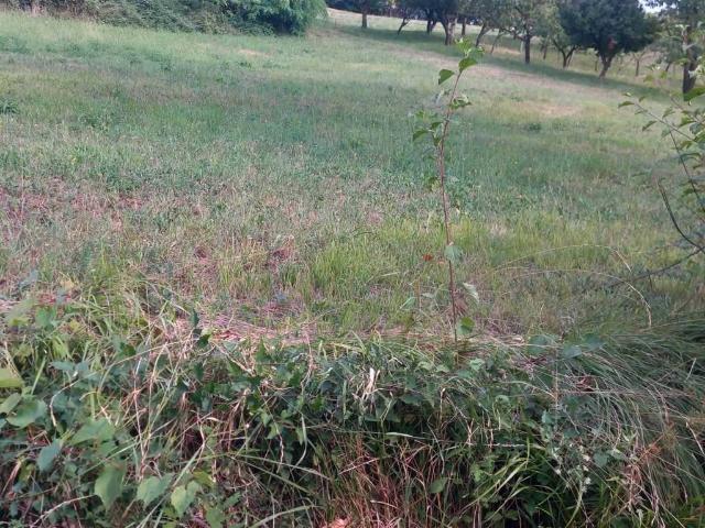 Terreno in vendita a Ponteranica, Lombardia