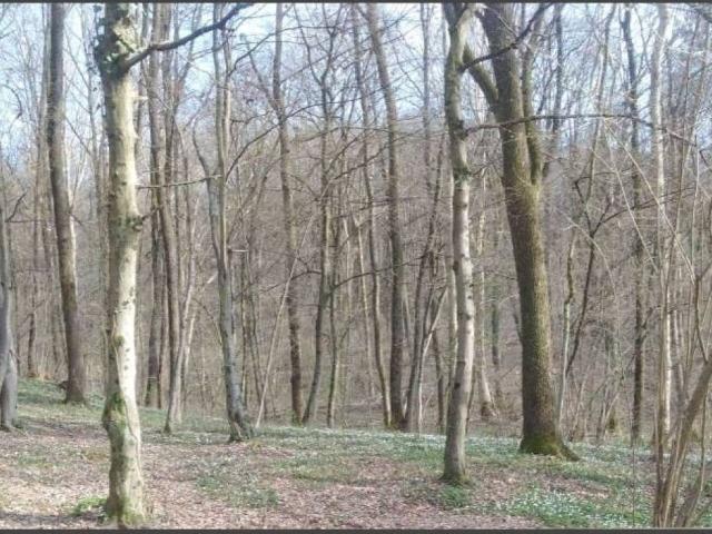 Terreno in vendita a Castello della Moretta, Ponteranica