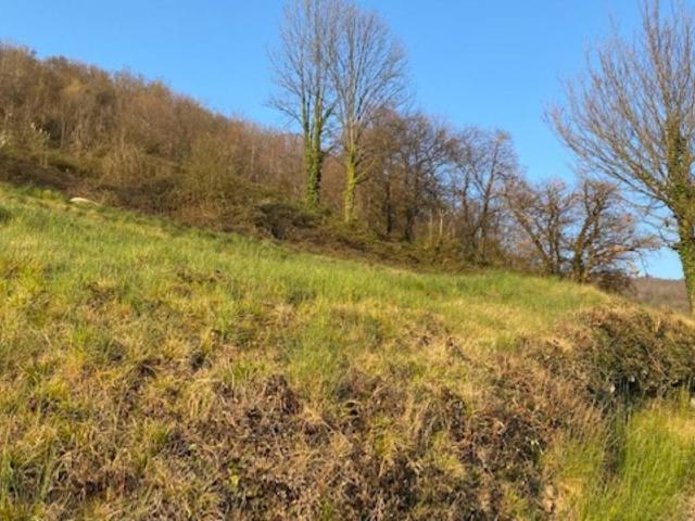 Terreno in vendita a Ponteranica Alta, Ponteranica