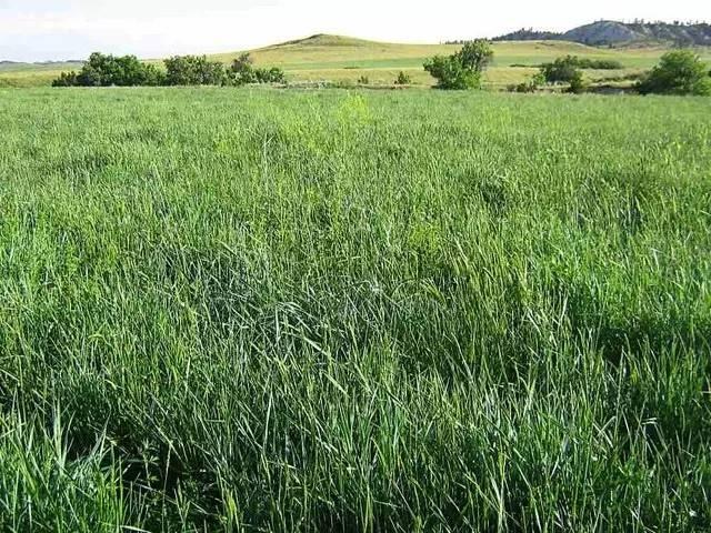 Terreno in vendita a Ponti Sul Mincio, Lombardia