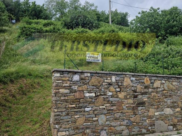 Terreno in vendita a Valmora sopra, Pontida