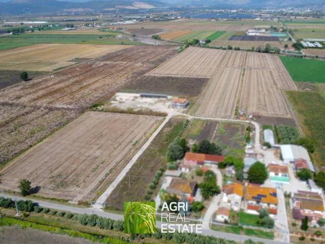 Terreno in vendita a Pontinia, Lazio